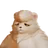 Grizbo