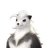 Piopiota