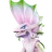 Pomawk