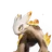 Geodeback