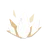 The Luminus Gust