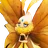 Gracewing