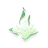 Lotus Bloom